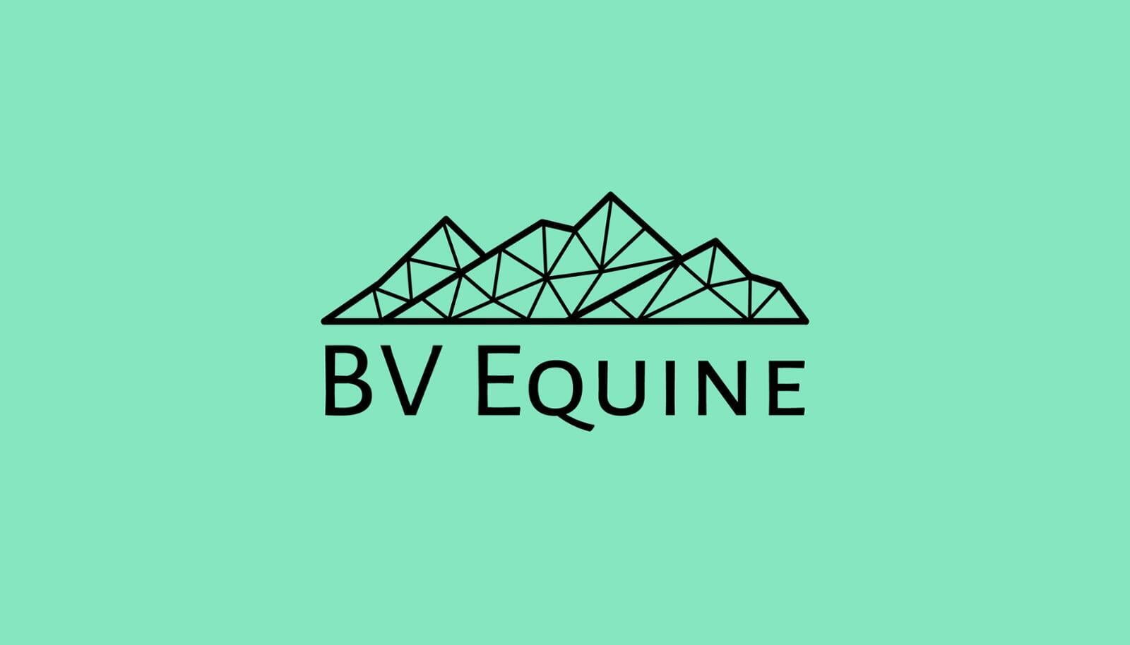 Bv Equine logo
